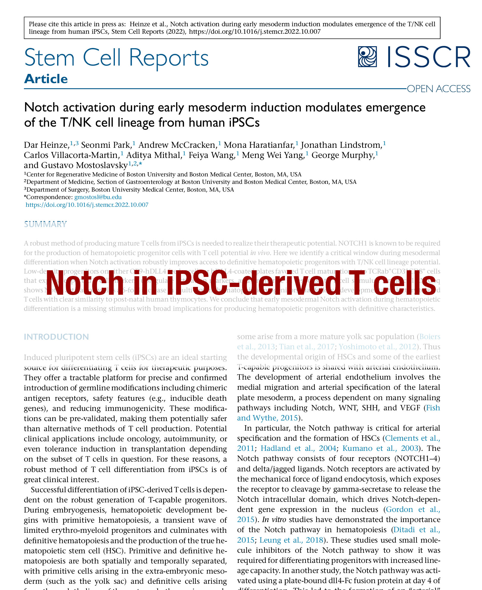 Heinze et al SCR 2022