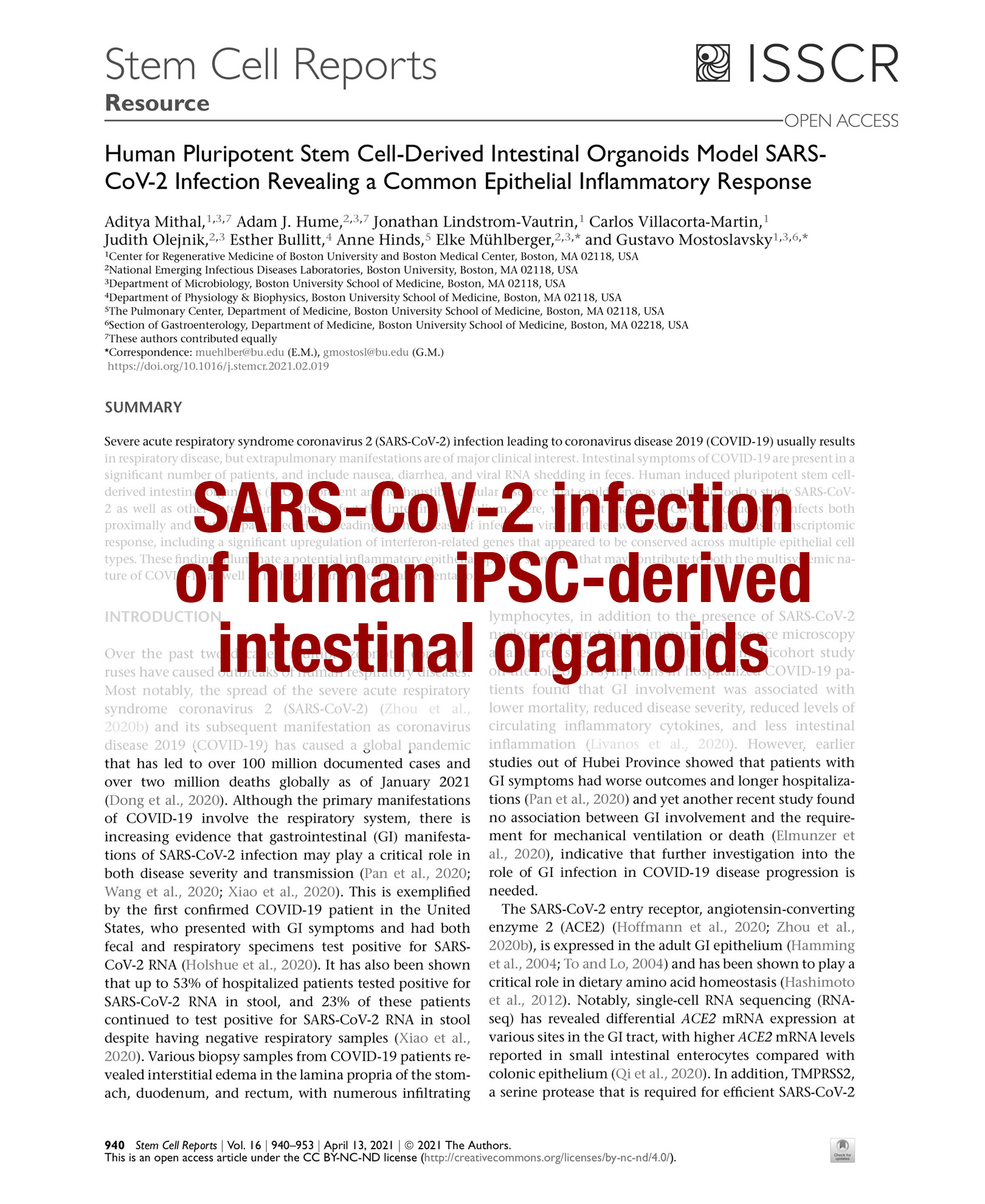 Mithal et al SCR 2021